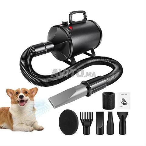 Souffleur Sécheur Professionnel Animaux 3500W - 2