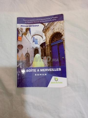 Le lot des deux livres 43
