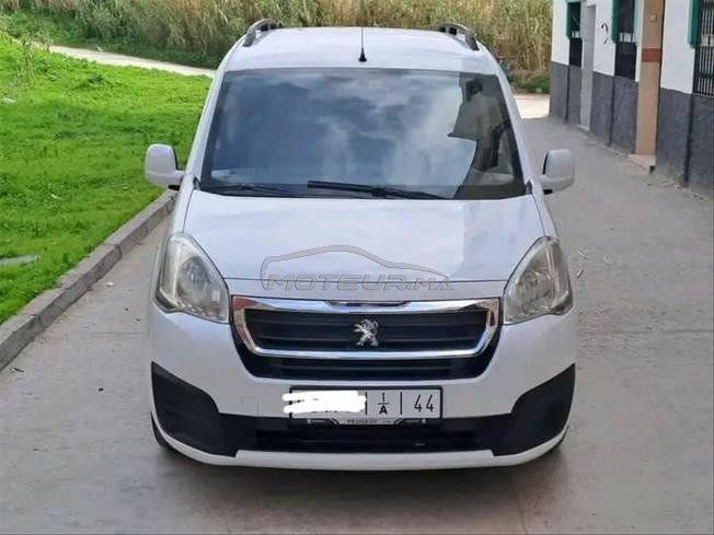 Peugeot Tepi 