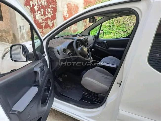 Peugeot Tepi 