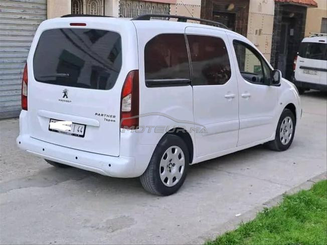 Peugeot Tepi 