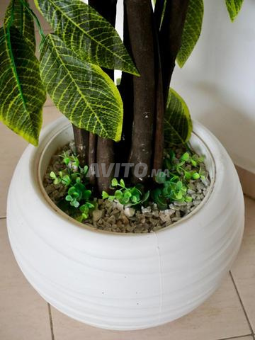نبتة اصطناعية - 2
