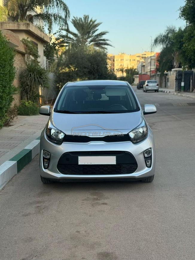 kia picanto 