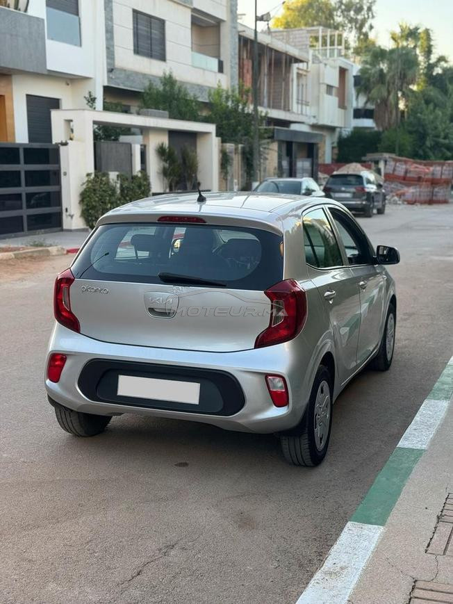 kia picanto 
