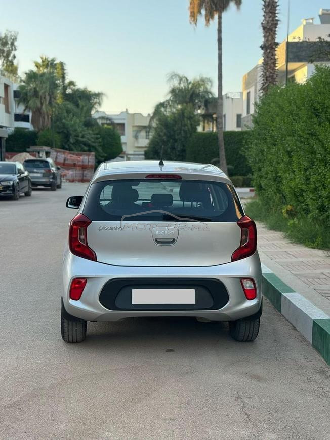 kia picanto 