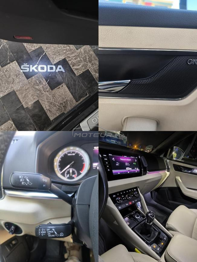 Skoda karoq 6cv🇩🇪