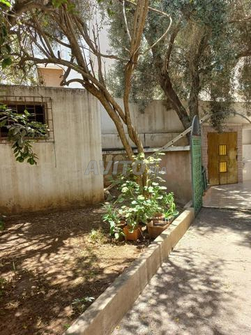 فيلا داخلة - 2