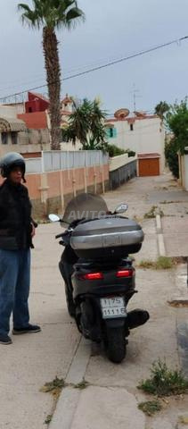 Tricycle Piaggio MP 500 - 2