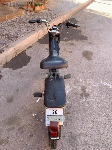 محاميد مراكش - 2