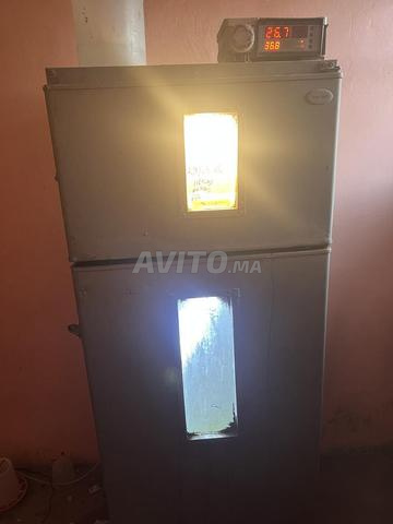 فقاسة جيدة جداً و ممتازة - 2