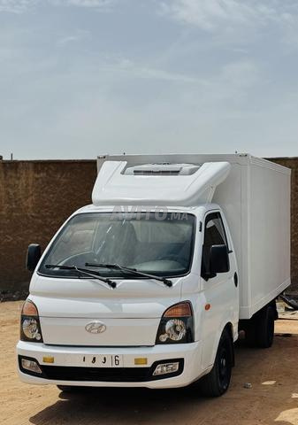 Hyundai H100 Ferigo 2019 - 2