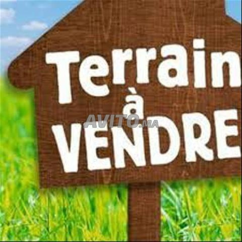 Terrain titré à vendre - 2