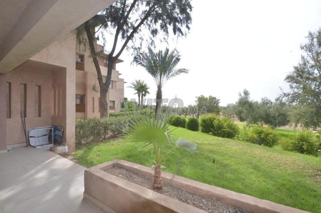 Appartement vide Prestigia Ambre - 2