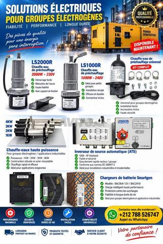 Inverseur de source automatique (ATS)