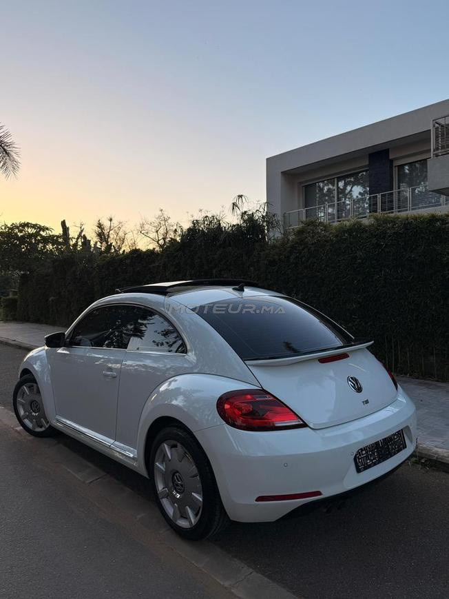 Coccinelle beetle signature particulier neuf