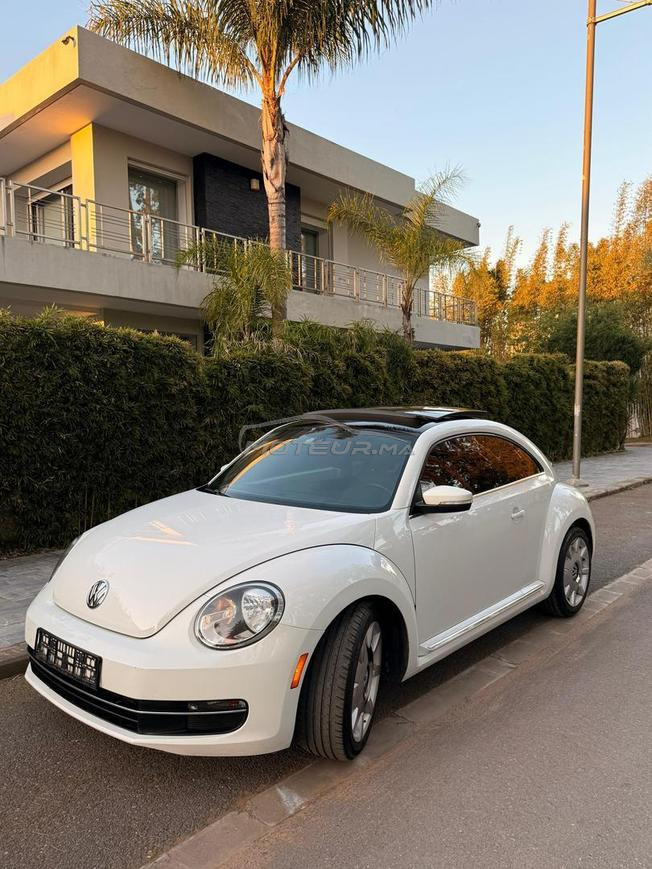 Coccinelle beetle signature particulier neuf