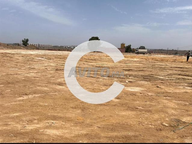TERRAIN 1 HECTARE BOUSKOURA (600 dh/m2)