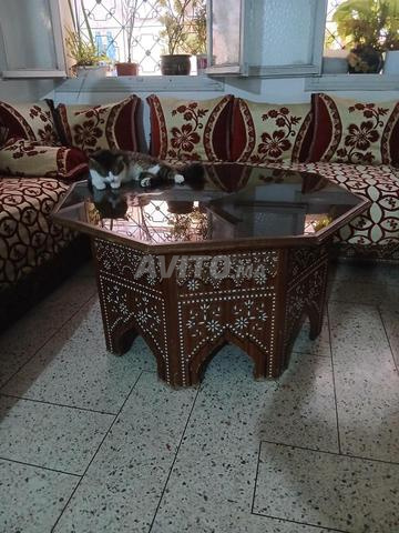 فاس نرجس - 2