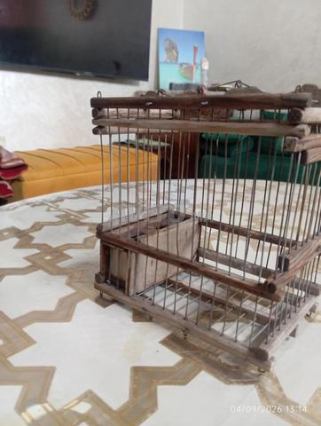  في البرنطائر بيروش انتى قفص كبير قفص صغير للتنقل  - 2