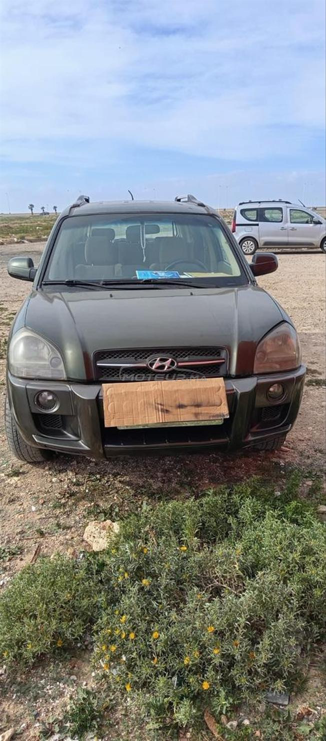 تسيكسو في حالة جيدة