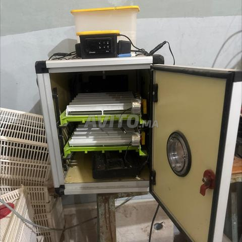 couveuse CIMUKA 60 - 2