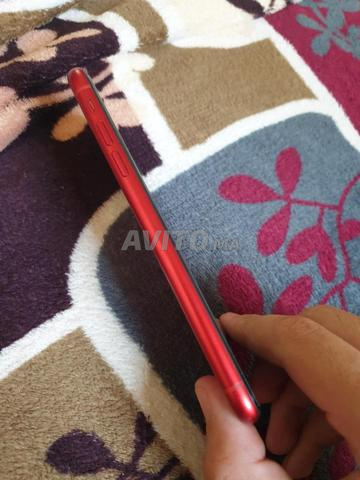 فاس نرجيس - 2