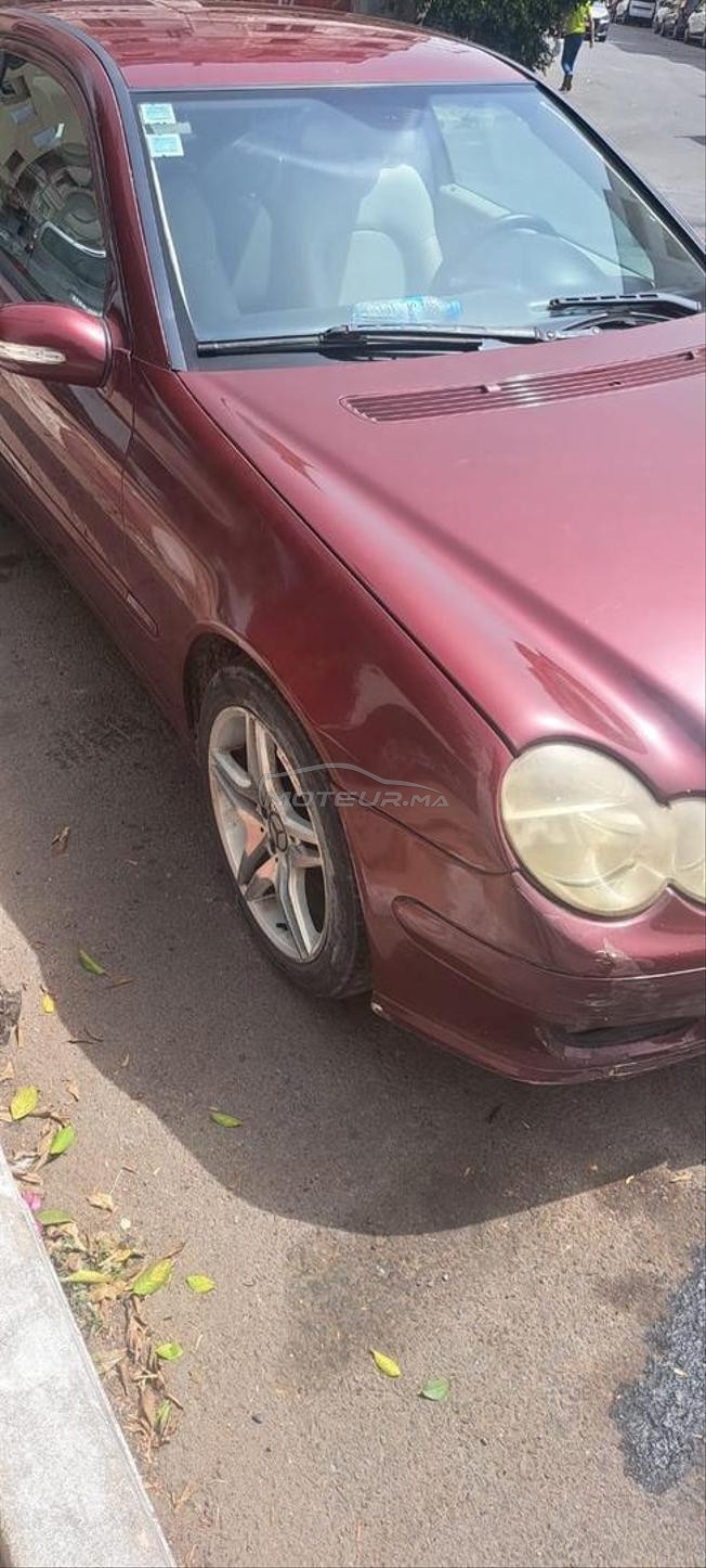 بلفيدير  زنقت تلمسان