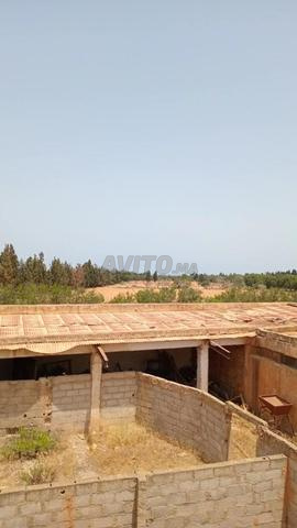 Terrain à vendre dans un emplacement stratégique dans la région de Bouarqa - 2