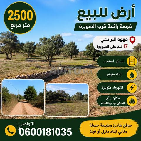 Douar El Kouach - 2