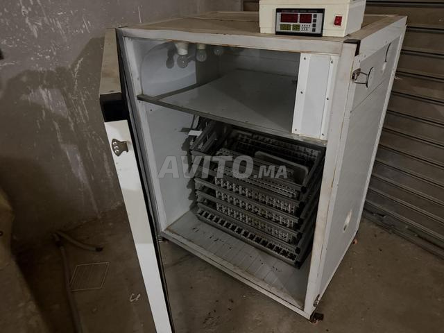 Incubateur 1000 oeufs - 2