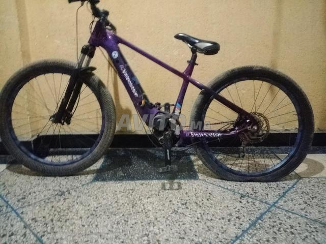 Vélo électrique modifié - 2