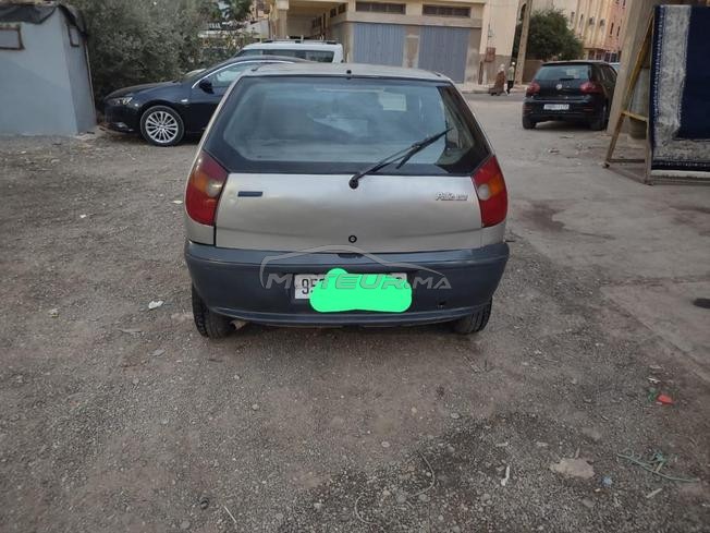 فياط بليو.   
