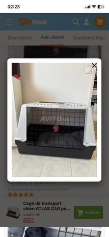 Cage transport chien de chasse Ferplast Atlas - 2
