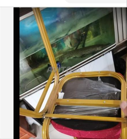Chaises traiteur - 2