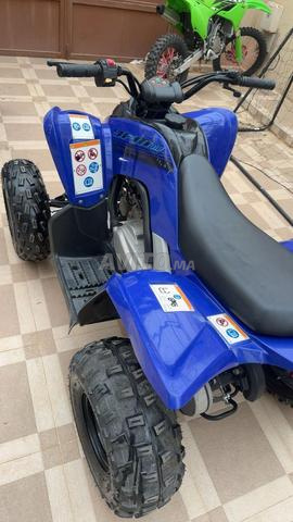 Raptor YFM 110 Quad - 2