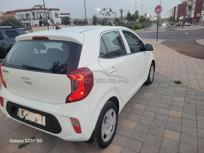 kia Picanto 