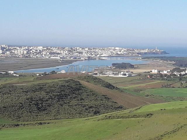 Terrain 15,4ha Larache titré avec accès route - 2