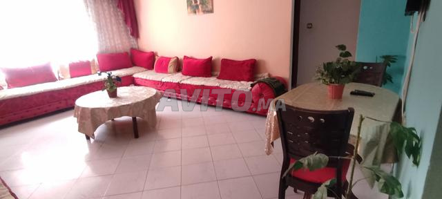 appartement rue Bolibar issmail - 2