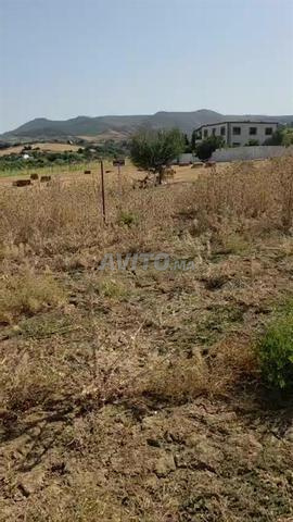 🏞️ أرض للبيع بتطوان - الملاليين (2600 م²) - 2