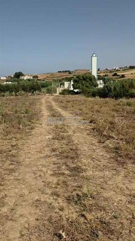 🏞️ Terrain à vendre à Tétouan - Mellaline (2600 m²)
