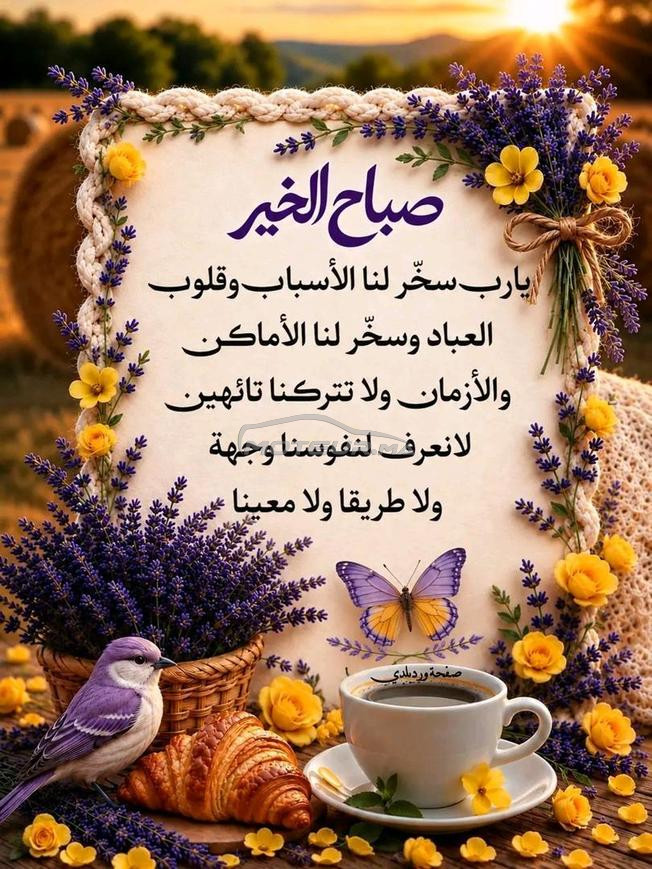 سيارة قتصادية بدون ادبلو 