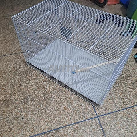 cage 75 cm - 2
