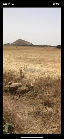 8000m2 portefeuille rond Oulad Abden - 2