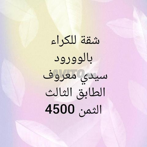 سيدي معروف الورود
