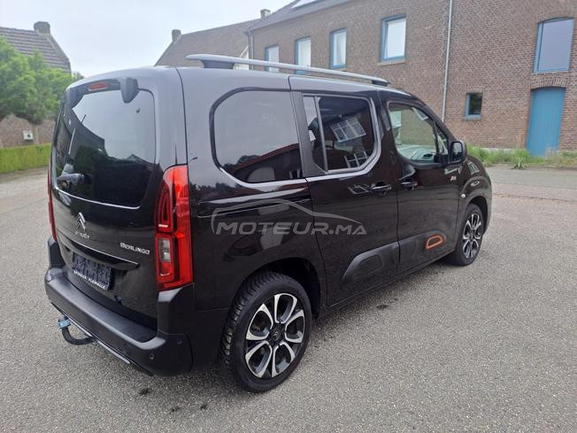 Berlingo de douan