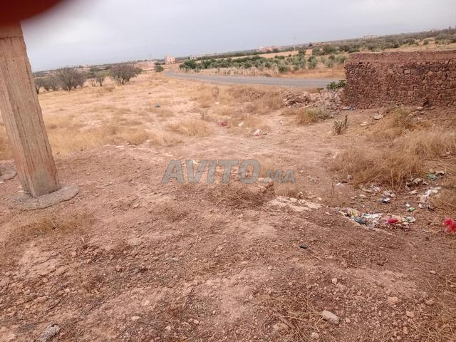 أرض فلاحية مع منزل - 2