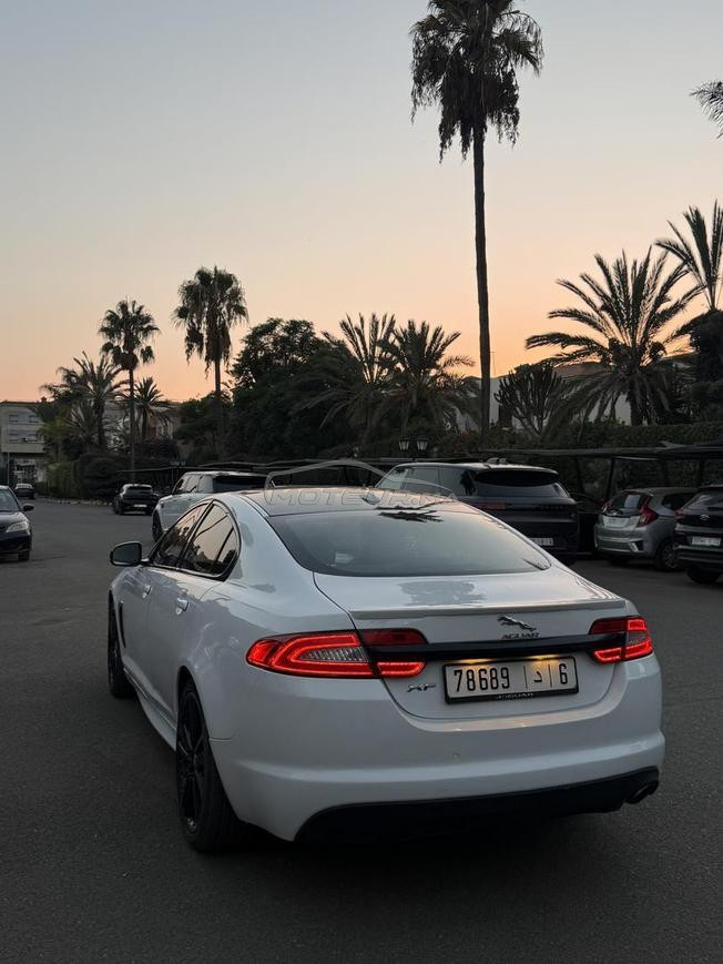 Jaguar XF pack R sport 2012