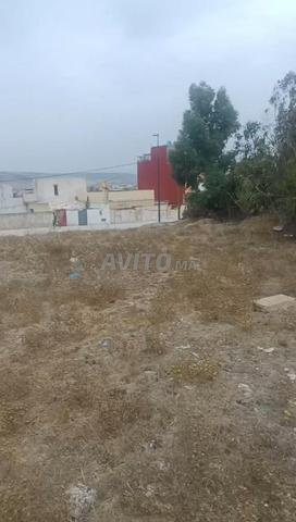 Terrain à vendre Hajriyine, côté mer Sidi Kacem - 2