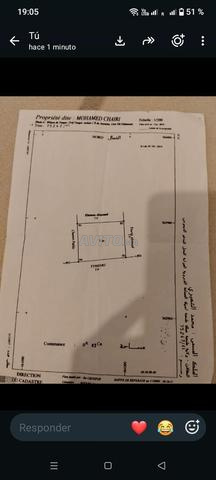 Dimos près de 'Aouma
