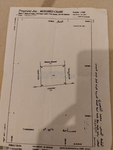 Dimos près de 'Aouma - 2